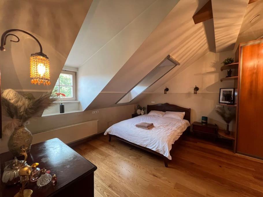 Old Town Apartment With Free Parking Vilna Exterior foto