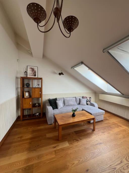 Old Town Apartment With Free Parking Vilna Exterior foto